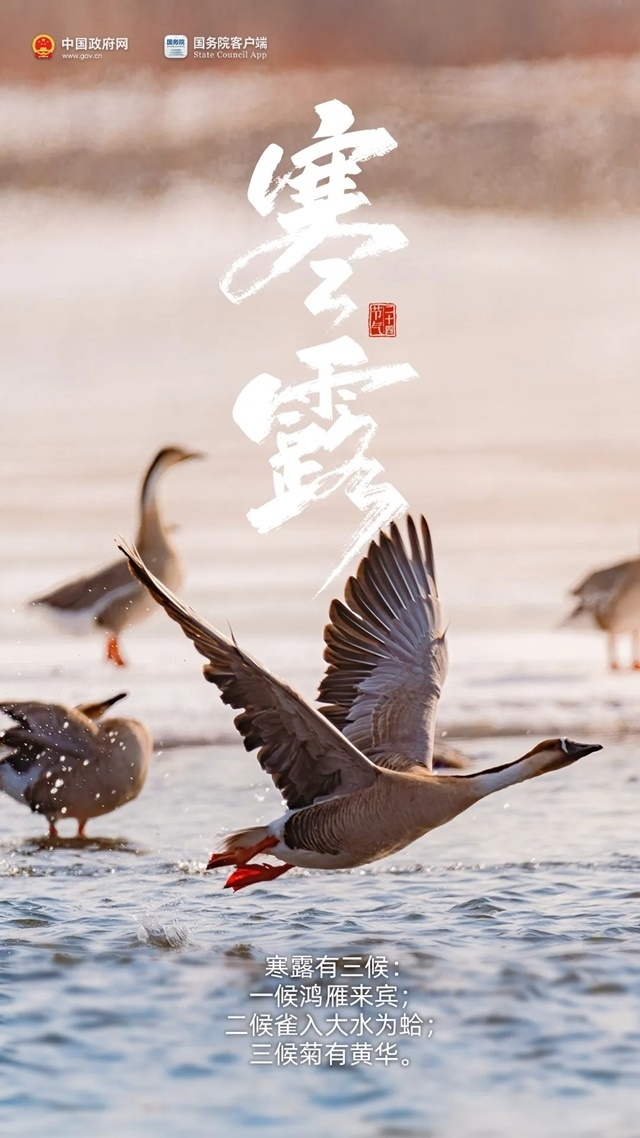 2_副本.jpg